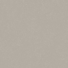 41zero42 Cosmo 4100848 Grigio keramisch graniet 80x80 cm, Italië - foto 1 - foto 1