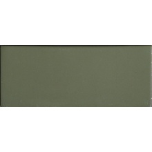 41zero42 Cosmo 4100859 Brick Verde Matte keramisch graniet 6,5x15,5 cm, Italië - foto 1 - foto 1