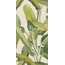 41zero42 Paper41 Pro С000376927 4100336_Musa gres porcellanato 50x100 cm, Italia - foto 1 41zero42 Paper41 Pro С000376927 4100336_Musa gres porcellanato 50x100 cm, Italia - foto 1