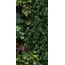 41zero42 Paper41 Pro С000301440 4100154_Jane D gres porcellanato 50x100 cm, Italia - foto 1 41zero42 Paper41 Pro С000301440 4100154_Jane D gres porcellanato 50x100 cm, Italia - foto 1