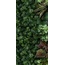 41zero42 Paper41 Pro С000301437 4100151_Jane A gres porcellanato 50x100 cm, Italia - foto 1 41zero42 Paper41 Pro С000301437 4100151_Jane A gres porcellanato 50x100 cm, Italia - foto 1