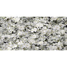 41zero42 Paper41 Pro 4100287 Eva Decor 50x100 cm, Italy - photo 1 - photo 1