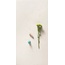 41zero42 Superclassica SCW 7,5x60, unglazed porcelain stoneware, Italy, other types of marble - interior photo 21