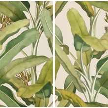 41zero42 Paper41 Pro 4100336 Муса porcelain tile 50x100 cm, Italy - photo 1 - photo 1