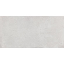 Abitare Icon С000524034 PF00022087_ICON 60119 SILVER RET grès cérame 60x119,8 cm, Italie, sous béton - photo 1 - photo 1