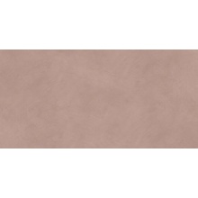 ABK AlterEgo С000620109 16432_AlteregoBark60X120 keramisch graniet 60x120 cm, Italië, hars - foto 1 - foto 1