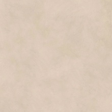 ABK AlterEgo С000620180 17466_AlteregoCreamR11120X120 keramisch graniet 120x120 cm, Italië, hars - foto 1 - foto 1