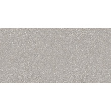 ABK Blend 0006702 Dots Grey Ret porcelain tile 60x120 cm, Italy, stone  - photo 1 - photo 1