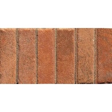 ABK Petraia С000476136 A5007G_FrecciaRett.PetraiaCotto12,5X25 Mosaïque 12,5x25 cm, Italie, terracotta look - photo 1 - photo 1