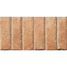 ABK Petraia С000476133 A5005G_FrecciaRet.PetraiaOcra12,5X25 Mosaïque 12,5x25 cm, Italie, terracotta look - photo 1 - photo 1