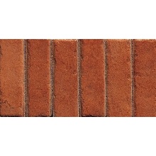 ABK Petraia С000476139 A5017G_FrecciaRet.PetraiaRosso12,5X25 Mosaïque 12,5x25 cm, Italie, terracotta look - photo 1 - photo 1