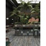 ABK Play 20x20 см, glazed porcelain stoneware, Italy, terrazzo - interior photo 5