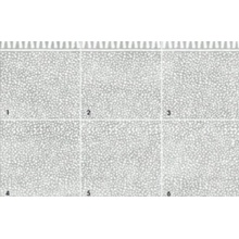 ABK Poetry Stone 0010213 Carpet Paint 6 Nat Decoração 120x120 cm, Itália, efeito pedra  - foto 1 - foto 1