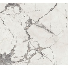 ABK Sensi Up 0005728 Invisible Pearl Ret porcelain tile 120x120 cm, Italy, marble look - photo 1 - photo 1