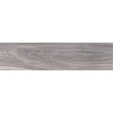 ABK Soleras S1R4910B Grigio Ret keramisch graniet 20x80 cm, Italië, houtlook - foto 1 - foto 1