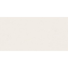 ABK Wide&Style Mini С000533925 8228_Wide&StyleMiniSnowRet60X120 veggflis 60x120 cm, Italia - foto 1 - foto 1