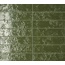 Aleluia Coral С000607288 Coral Green 6.4x26.2 wall tile 6,4x26,2 cm, Portugal - photo 1