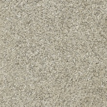 Aleluia Granit С000510610 C458_Beige porcelænsflise 45x45 cm, Portugal, granit - foto 1 - foto 1