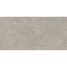 Aleluia Luna С000596826 K6006RC_Light Grey 30x60 keramisch graniet 29,5x59,2 cm, Portugal, andere soorten steen - foto 1 - foto 1