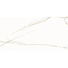 Aleluia Palace С000564073 P9162PG_PalaceWhitePolished44.3X88.8Ret keramisch graniet 44,3x88,8 cm, Portugal, andere soorten marmer - foto 1 - foto 1