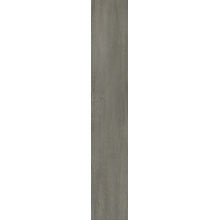 Alfalux Arbor С000629871 8200618_ARBOR CARPINO GRIP R porcelain tile 20x120 cm, Italy, wood look - photo 1 - photo 1