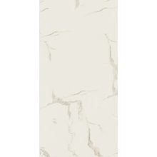 Alfalux Canova Pro С000572556 T820395__CanovaProArniLucRet60X120 keramisch graniet 60x120 cm, Italië, andere soorten marmer - foto 1 - foto 1