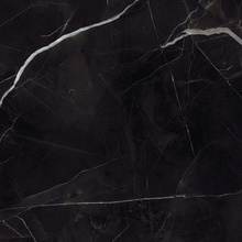 Alfalux Elegance С000630732 8201116_ELEGANCE BLACK LUC R keramisch graniet 60x60 cm, Italië, andere soorten marmer - foto 1 - foto 1