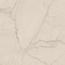 Alfalux Elegance С000630737 8201130_ELEGANCE IVO.SMOOTH porcelain tile 60x60 cm, Italy, other types of marble - photo 1 Alfalux Elegance С000630737 8201130_ELEGANCE IVO.SMOOTH porcelain tile 60x60 cm, Italy, other types of marble - photo 1
