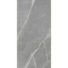 Alfalux Elegance С000630768 8201100_ELEGANCE SILVER MAT keramisch graniet 60x120 cm, Italië, andere soorten marmer - foto 1 - foto 1