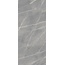 Alfalux Elegance T200182 SILVER LUC porcelain tile 120x278 cm, Italy, other types of marble - photo 1