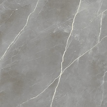 Alfalux Elegance С000630885 T200248_ELEGANCE SILVER LUC keramisch graniet 120x120 cm, Italië, andere soorten marmer - foto 1 - foto 1