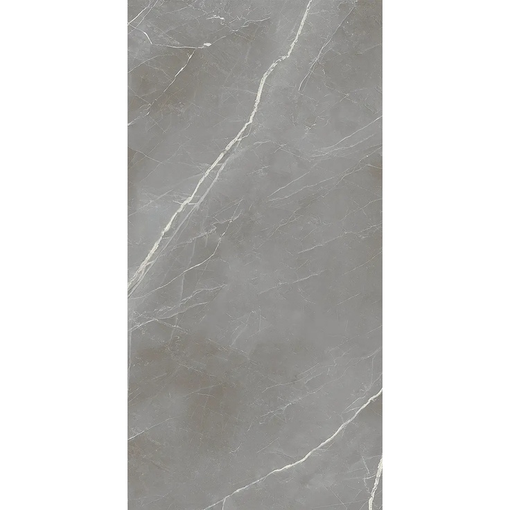 Alfalux Elegance 8201101 SILVER LUC gres porcelanowy 60x120 cm, Włochy, inne rodzaje marmuru - zdjęcie 1 Alfalux Elegance 8201101 SILVER LUC gres porcelanowy 60x120 cm, Włochy, inne rodzaje marmuru - zdjęcie 1