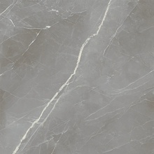 Alfalux Elegance С000630743 8201141_ELEGANCE SILVER LUC keramisch graniet 60x60 cm, Italië, andere soorten marmer - foto 1 - foto 1