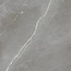 Alfalux Elegance 8201141 SILVER LUC gres porcelanowy 60x60 cm, Włochy, inne rodzaje marmuru - zdjęcie 1 Alfalux Elegance 8201141 SILVER LUC gres porcelanowy 60x60 cm, Włochy, inne rodzaje marmuru - zdjęcie 1