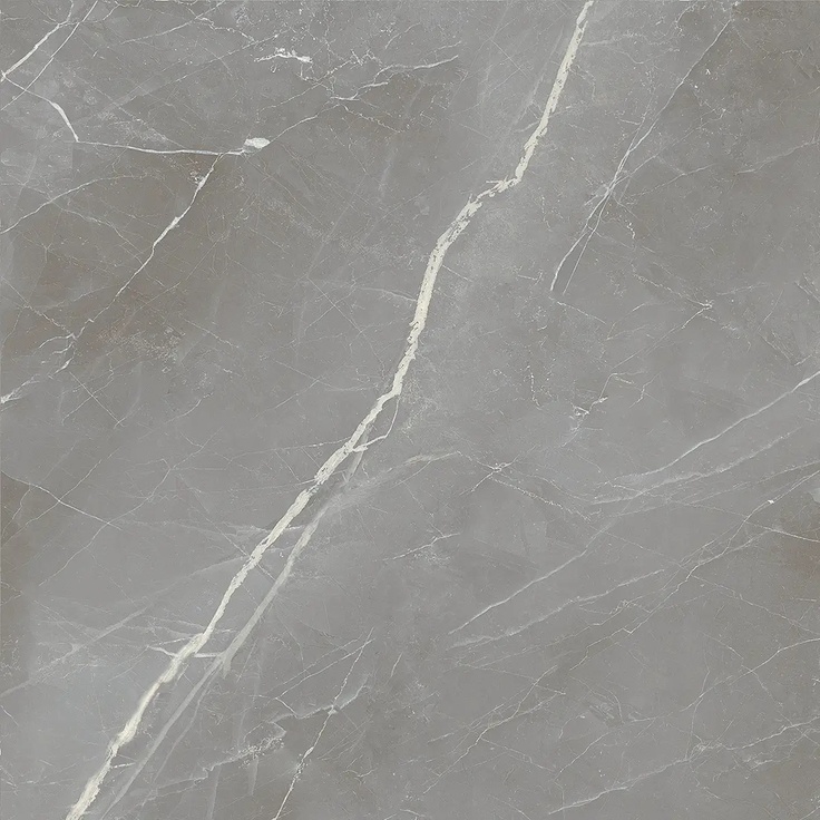 Alfalux Elegance 8201141 SILVER LUC gres porcelanowy 60x60 cm, Włochy, inne rodzaje marmuru - zdjęcie 1 Alfalux Elegance 8201141 SILVER LUC gres porcelanowy 60x60 cm, Włochy, inne rodzaje marmuru - zdjęcie 1