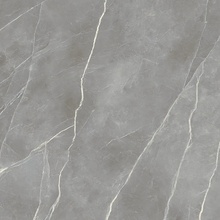 Alfalux Elegance С000630884 T200249_ELEGANCE SIL.SMOOTH keramisch graniet 120x120 cm, Italië, andere soorten marmer - foto 1 - foto 1