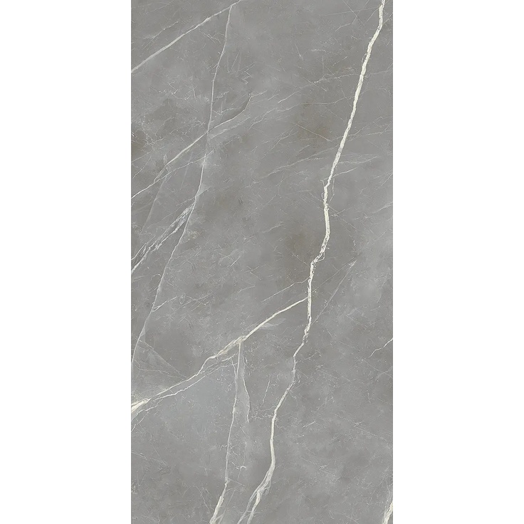 Alfalux Elegance С000630766 8201102_ELEGANCE SIL.SMOOTH porcelain tile 60x120 cm, Italy, other types of marble - photo 1 Alfalux Elegance С000630766 8201102_ELEGANCE SIL.SMOOTH porcelain tile 60x120 cm, Italy, other types of marble - photo 1