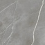 Alfalux Elegance С000630725 8201142_ELEGANCE SIL.SMOOTH porcelain tile 60x60 cm, Italy, other types of marble - photo 1 Alfalux Elegance С000630725 8201142_ELEGANCE SIL.SMOOTH porcelain tile 60x60 cm, Italy, other types of marble - photo 1
