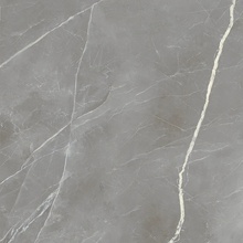 Alfalux Elegance С000630725 8201142_ELEGANCE SIL.SMOOTH keramisch graniet 60x60 cm, Italië, andere soorten marmer - foto 1 - foto 1
