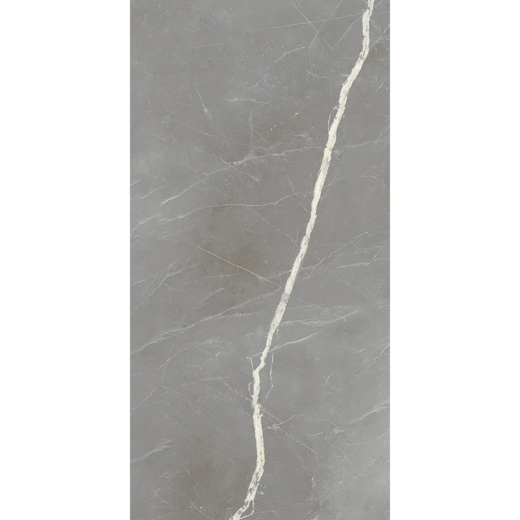 Alfalux Elegance С000630820 8201145_ELEGANCE SIL.SMOOTH porcelain tile 30x60 cm, Italy, other types of marble - photo 1 Alfalux Elegance С000630820 8201145_ELEGANCE SIL.SMOOTH porcelain tile 30x60 cm, Italy, other types of marble - photo 1