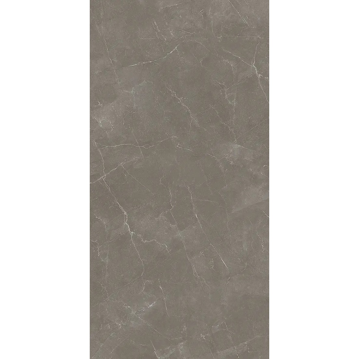 Alfalux Elegance 8201103 TAUPE MAT R gres porcelanowy 60x120 cm, Włochy, inne rodzaje marmuru - zdjęcie 1 Alfalux Elegance 8201103 TAUPE MAT R gres porcelanowy 60x120 cm, Włochy, inne rodzaje marmuru - zdjęcie 1