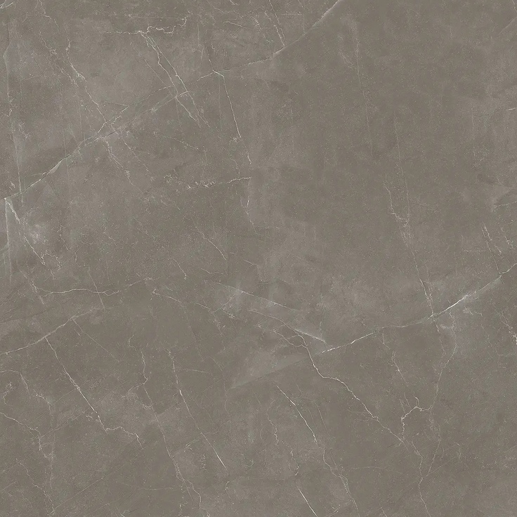 Alfalux Elegance T200251 TAUPE LUC R porcelain tile 120x120 cm, Italy, other types of marble - photo 1 Alfalux Elegance T200251 TAUPE LUC R porcelain tile 120x120 cm, Italy, other types of marble - photo 1
