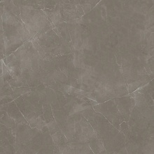 Alfalux Elegance С000630888 T200251_ELEGANCE TAUPE LUC R keramisch graniet 120x120 cm, Italië, andere soorten marmer - foto 1 - foto 1