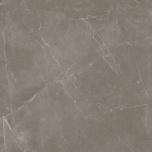 Alfalux Elegance С000630746 8201147_ELEGANCE TAUPE LUC R keramisch graniet 60x60 cm, Italië, andere soorten marmer - foto 1 - foto 1