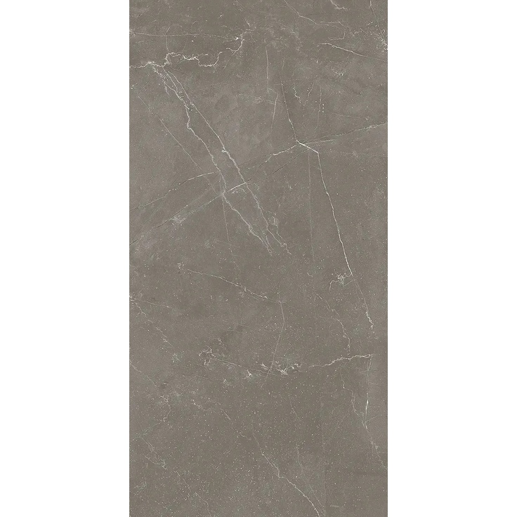 Alfalux Elegance 8201150 TAUPE LUC R gres porcelanowy 30x60 cm, Włochy, inne rodzaje marmuru - zdjęcie 1 Alfalux Elegance 8201150 TAUPE LUC R gres porcelanowy 30x60 cm, Włochy, inne rodzaje marmuru - zdjęcie 1