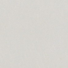 Alfalux Loft С000630200 7200084_LOFT BIANCO NAT RT porcelain tile 80x80 cm, Italy, concrete - photo 1 - photo 1