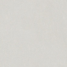 Alfalux Loft С000630210 8201052_LOFT BIANCO NAT RET porcelain tile 60x60 cm, Italy, concrete - photo 1 - photo 1