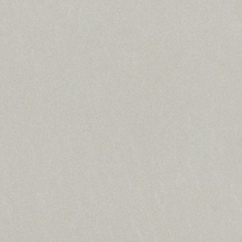 Alfalux Loft С000630203 7200097_LOFT PERLA NAT RT porcelain tile 80x80 cm, Italy, concrete - photo 1 - photo 1