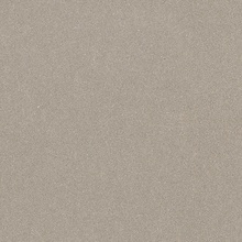 Alfalux Loft С000630225 8202227_2CM LOFT TORTOR.ROC porcelain tile 60x60 cm, Italy, concrete - photo 1 - photo 1