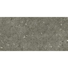 Alfalux Pietre Pure С000574760 7278641__PietrePureVicenzaRoc20X40 keramisch graniet 20x40 cm, Italië, andere soorten steen - foto 1 - foto 1